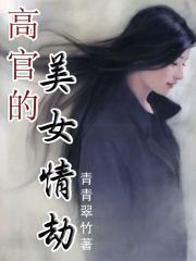 邂逅女设计师:高官情劫