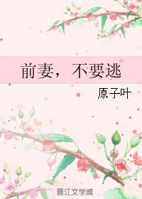 前妻,不要逃