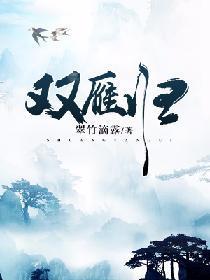 双雁归
