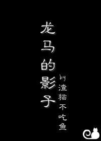[综网王]龙马的影子