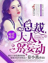 秘爱成疾,总裁大人别妄动