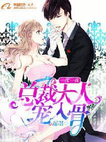 一次一夜:总裁大人宠入骨