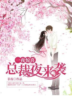 一夜惊喜:总裁夜来袭