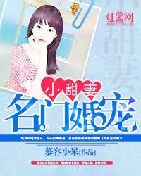 名门婚宠小甜妻