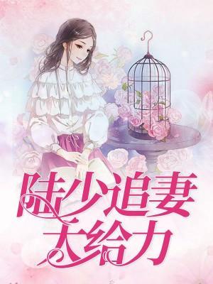 陆少追妻太给力