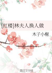 [红楼]林夫人换人做
