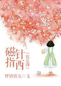 磁针指西（娱乐圈）