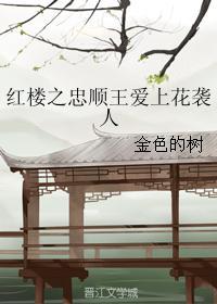 红楼之忠顺王爱上花袭人