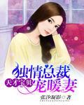 天才宝贝:独情总裁宠暖妻