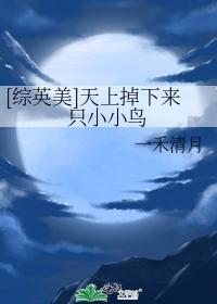 天上掉下来只小小鸟