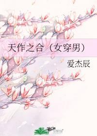 天作之合(女穿男)