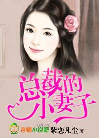 总裁的小妻