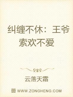 纠缠不休:王爷索欢不爱