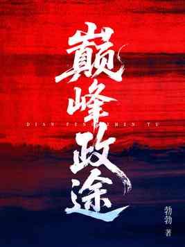 巅峰政途