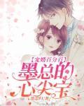 宠婚百分百，墨总的心尖宝