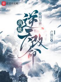 轮回模拟:我能逆天改命