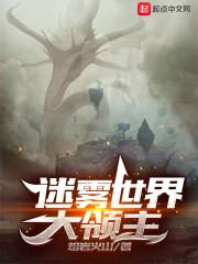 迷雾大统领