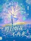 昨日烟花不再来