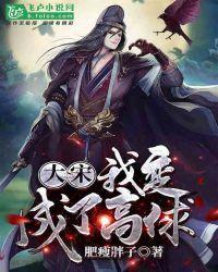 大宋:我变成了高俅