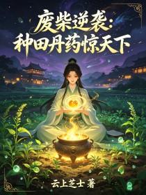 《废柴逆袭:种田丹药惊天下》