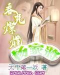 春光灿烂杨家将