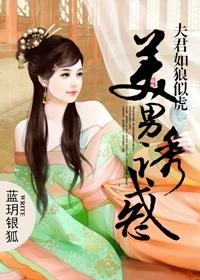 美男诱惑:夫君如狼似虎
