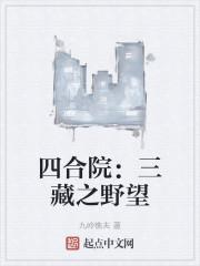 四合院:三藏之野望