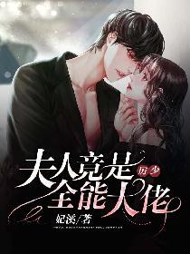 厉少,夫人竟是全能大佬
