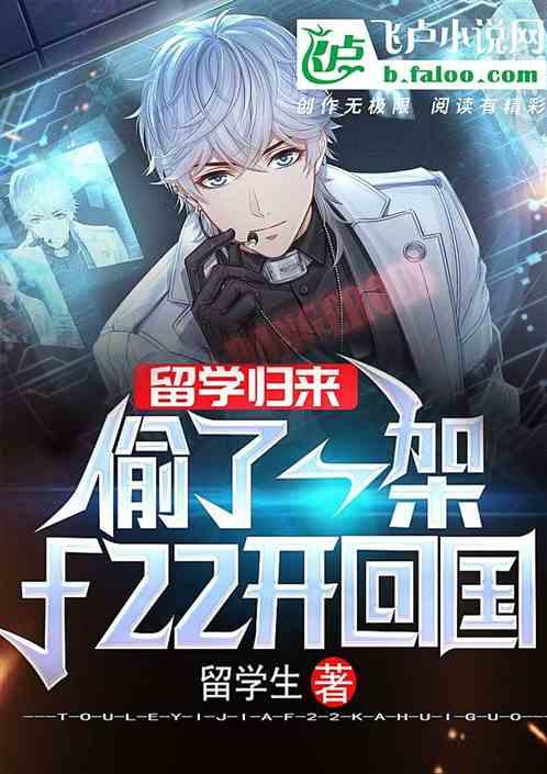 留学归来:搞了架飞机开回家