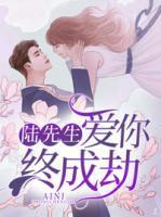 陆先生,爱你终成劫