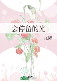 会停留的光