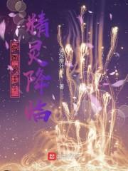 假面骑士:精灵降临
