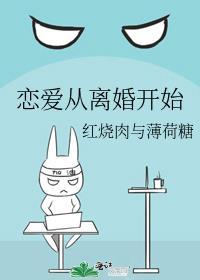 恋爱从离婚开始