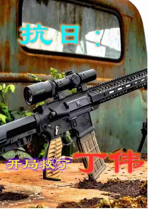 抗日:开局救了丁伟