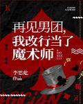 再见男团,我改行魔术大师
