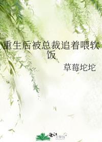 重生后被总裁追着喂软饭
