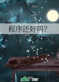 程序还好吗?