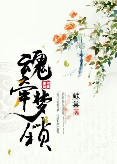 魂牵梦锁[快穿]