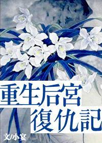 重生后宫覆仇记