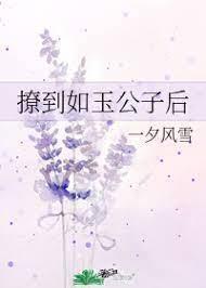撩到如玉公子后