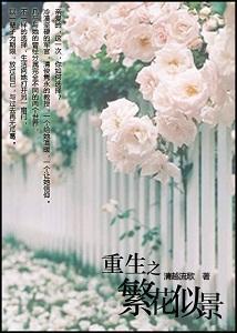 重生之繁花似景(伪军旅)