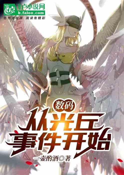 数码:从光丘事件开始