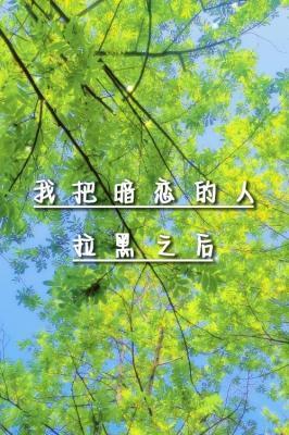 我把暗恋的人拉黑之后