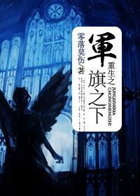 重生之军旗之下