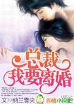总裁,我要离婚