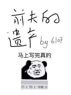前夫的遗产