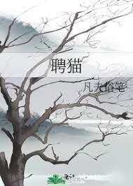 聘猫