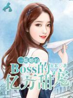 一纸婚约:BOSS的亿万甜宠