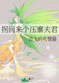 拐回来个压寨夫君
