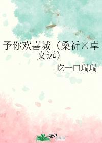 予你欢喜城(桑祈×卓文远)